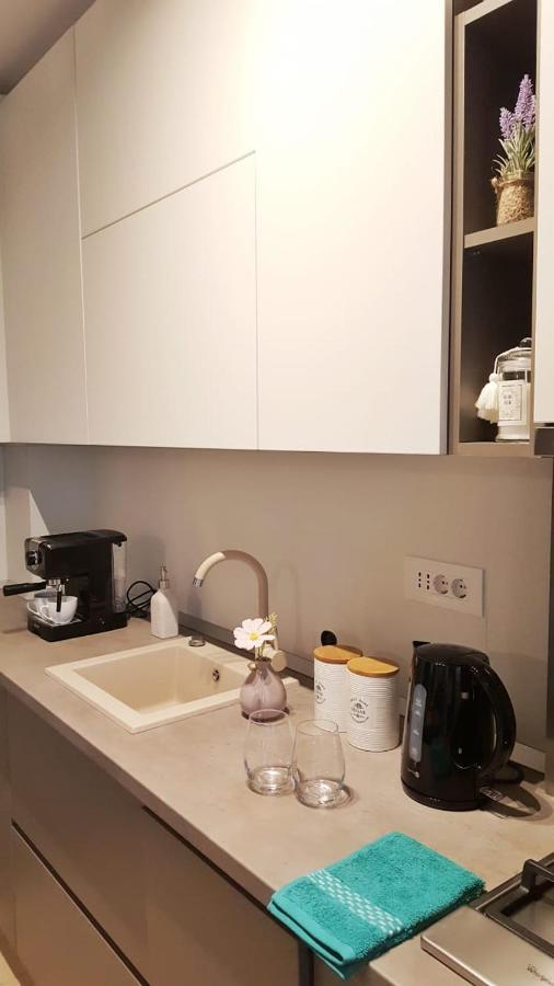 Elias Central Apartment - 2 Bedrooms & Free Parking Oradea Bagian luar foto